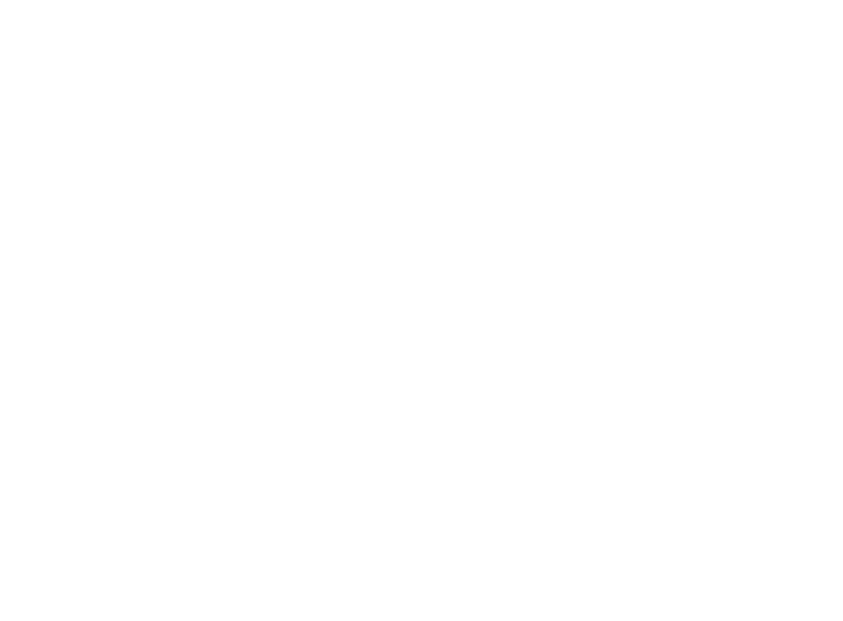 Power Diet Logo